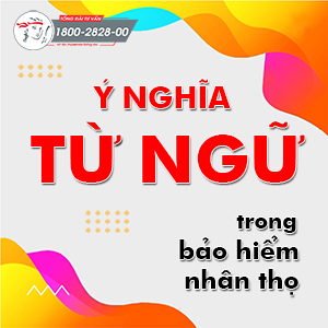 Ý nghĩa từ ngữ trong bảo hiểm