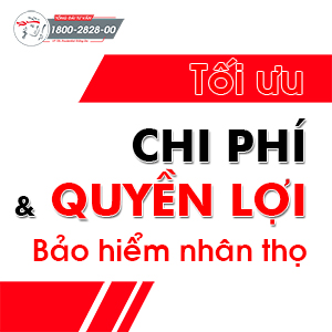 Chi phí và quyền lợi bảo hiểm